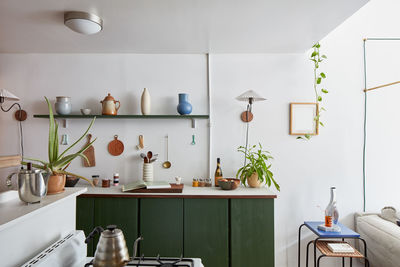 Interior of kitchen stove, counter with shelving, pottery, plants