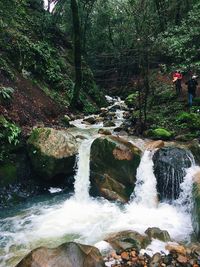 View of waterfall against trees