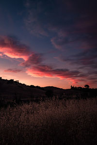 Scenic view of field against sky during sunset