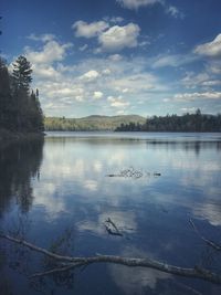 Swan swimming in lake against sky