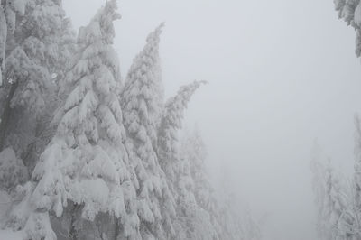 Scenic view of snow against sky