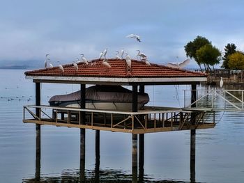View of heron on boathouse in lake against sky