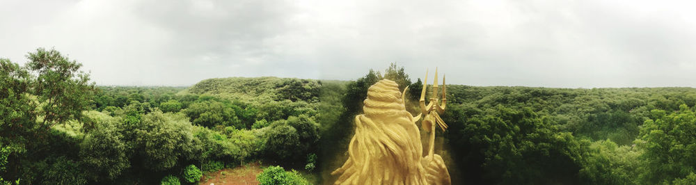 Panoramic shot of trees on land against sky