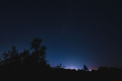 Low angle view of silhouette trees against sky at night