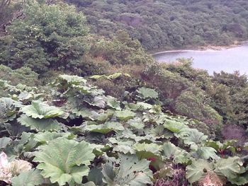 Scenic view of lake