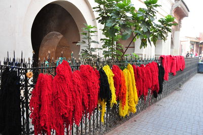 Multi colored flags hanging on tree