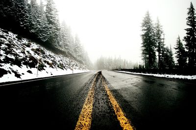 Road passing through trees