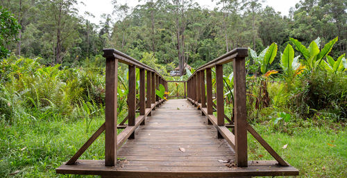 Footbridge amidst trees in forest