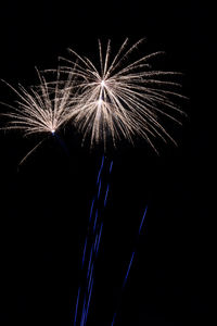 Low angle view of firework display against sky at night