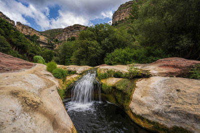 Scenic view of waterfall in forest