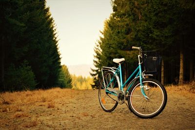 Bicycle against trees