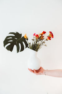 Close-up of hand holding flower against white background