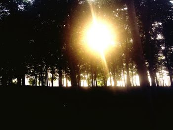 Low angle view of silhouette trees in forest