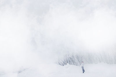 Rear view of person on snow covered land