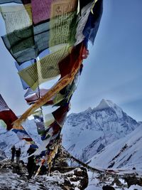 Horses of wind and high summit 