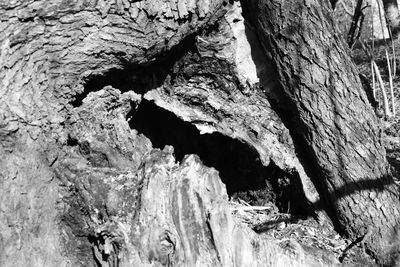 Full frame shot of rock