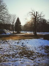 Trees by frozen lake against sky during sunset