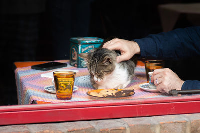 Midsection of woman with dog