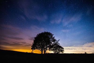 Silhouette trees against sky at night