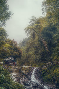 Scenic view of waterfall in forest against sky