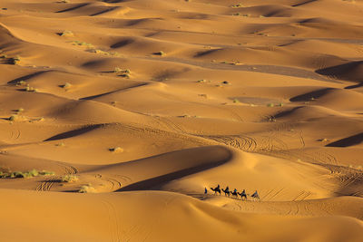 High angle view of sand dunes in desert
