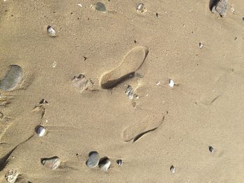 High angle view of footprints on sandy beach