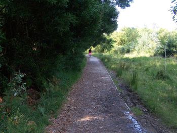 Rear view of person walking on footpath