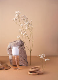 Flower vase on table against wall