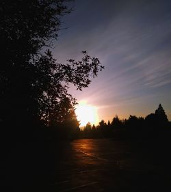 Silhouette trees against sky during sunset