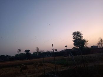 Scenic view of field against clear sky during sunset