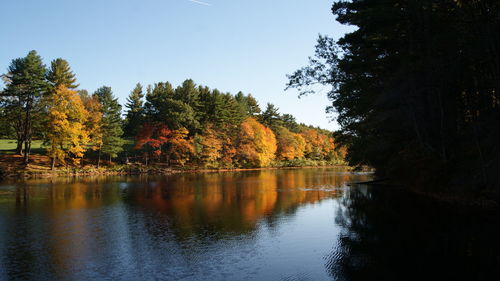 Scenic view of trees against sky during autumn