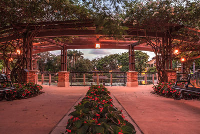 Flowering plants and trees by building against sky