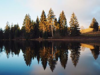 Reflection of trees in lake against sky