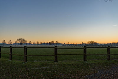 Scenic view of field against clear sky