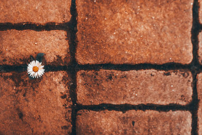 Full frame shot of white wall