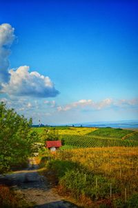 Scenic view of field against cloudy sky