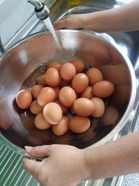 High angle view of hand holding eggs in container