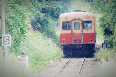 Train on railroad track by trees