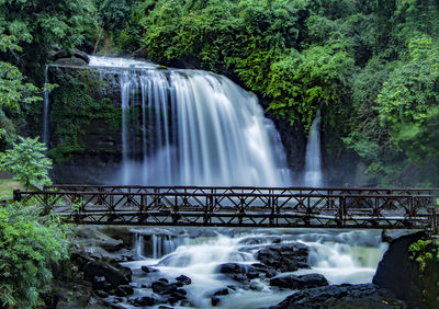 Scenic view of waterfall in forest