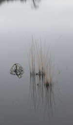 Scenic view of fishing net in lake