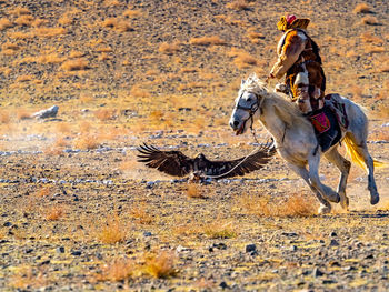 Man running on land