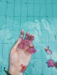 High angle view of person swimming in pool