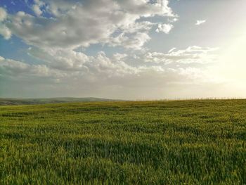 Scenic view of field against sky