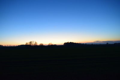 Silhouette trees on field against clear sky during sunset