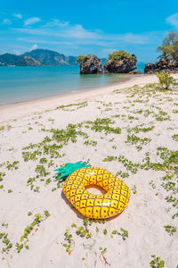 Scenic view of beach against sky