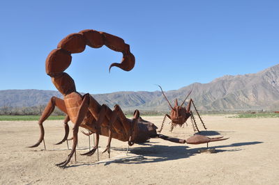 Man riding horse in desert against clear sky