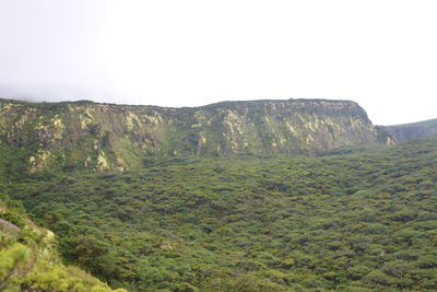 Scenic view of landscape against clear sky