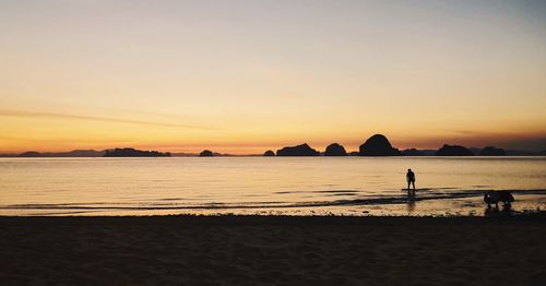 Silhouette people on beach against sky during sunset