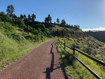 Road amidst trees against sky