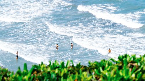 High angle view of people in water